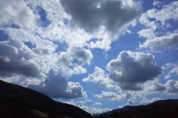 a0287336_01230738.jpg