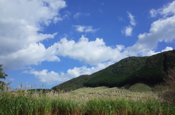 a0287336_01235109.jpg