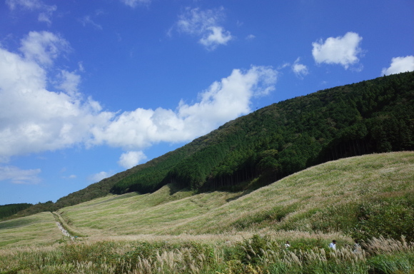 a0287336_01240346.jpg