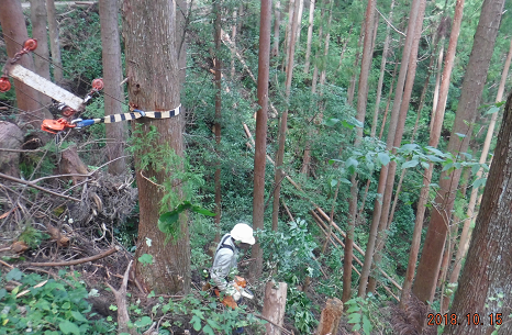 a0051539_17595988.png