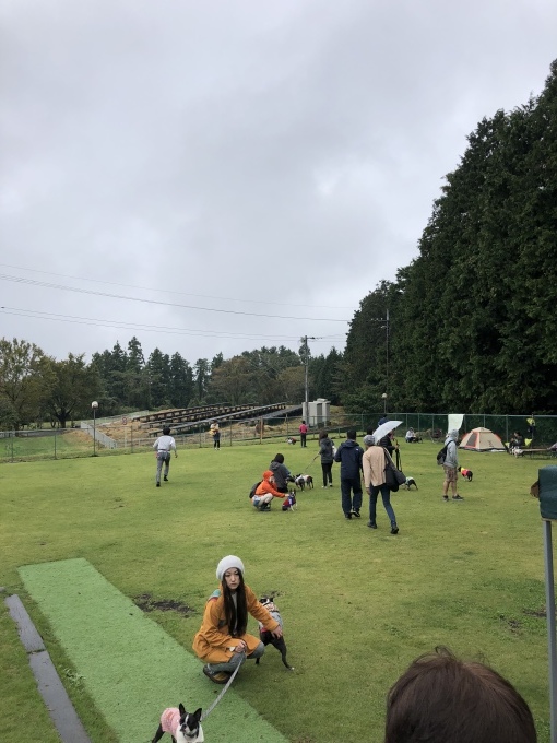 b0369239_16002228.jpeg