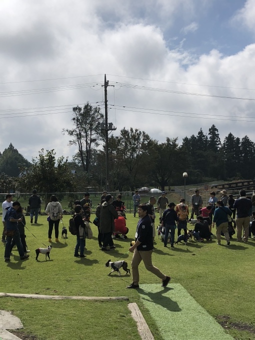 b0369239_16003698.jpeg
