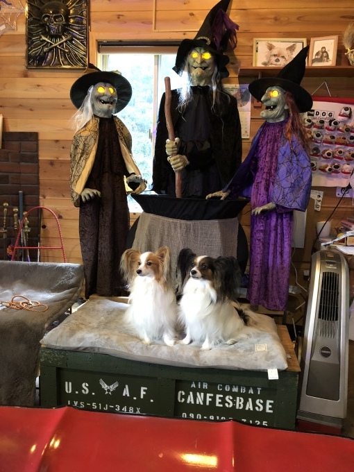b0369239_16011845.jpeg