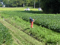 あぶくま農学校『土の塾_d0247345_8254634.jpg