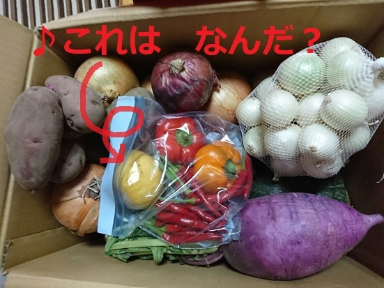 f0128146_22360936.jpg