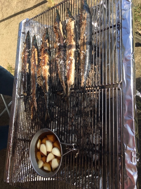 a0151947_16500491.jpeg