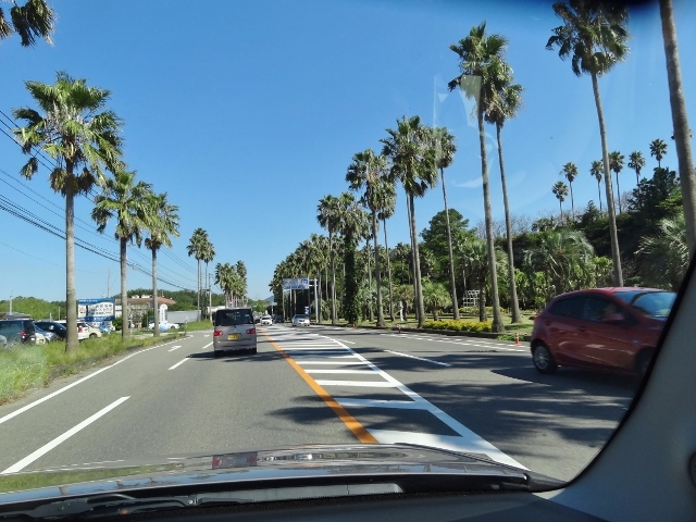 b0181748_19013560.jpg