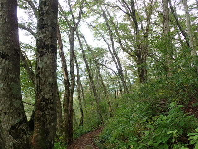 f0214649_04282879.jpg