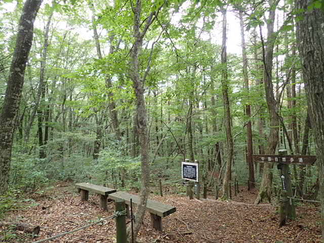 f0214649_04311485.jpg