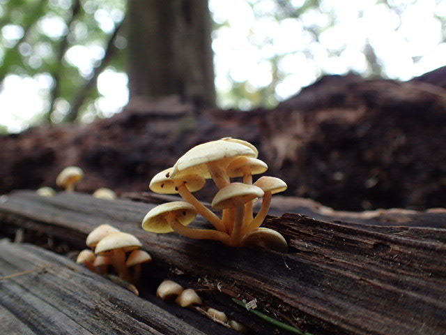 f0214649_04321693.jpg