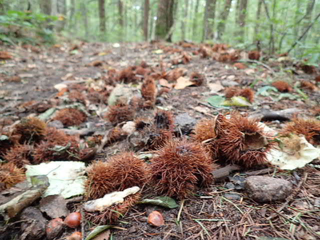 f0214649_04335774.jpg