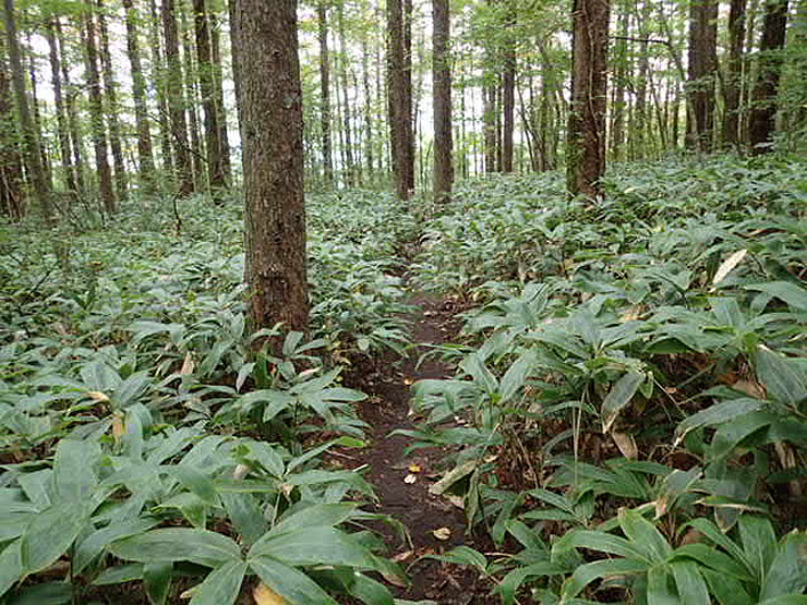 f0214649_04375157.jpg