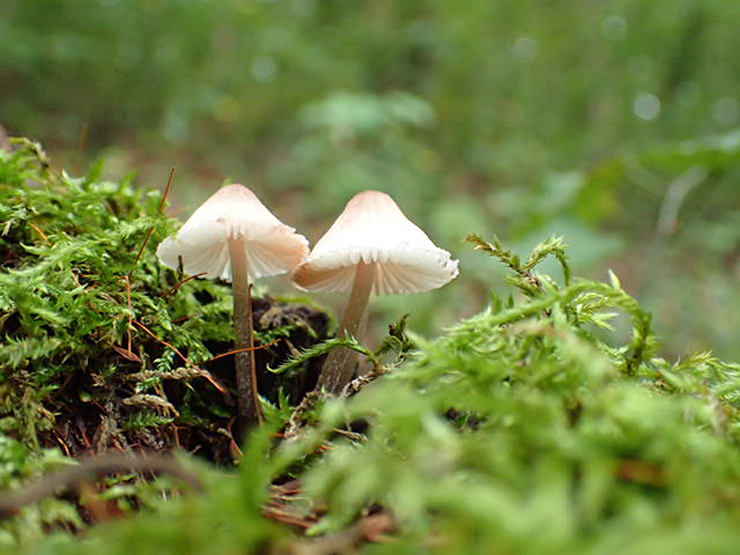 f0214649_04380955.jpg