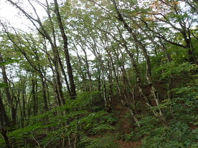 f0214649_04420386.jpg