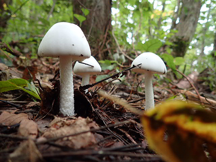 f0214649_04423937.jpg