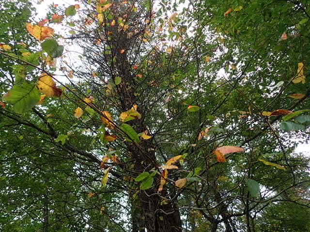 f0214649_04431825.jpg