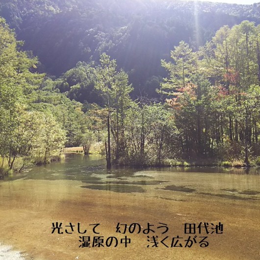 c0134850_15310956.jpg