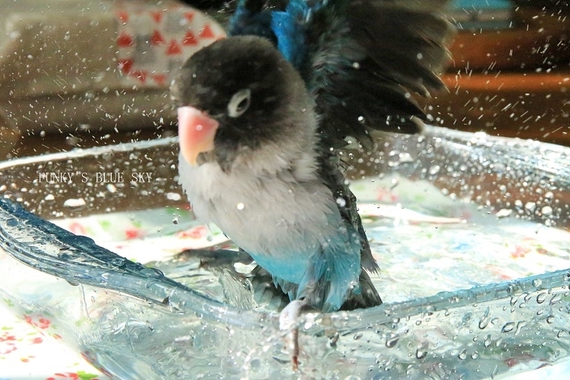 c0145250_09201551.jpg