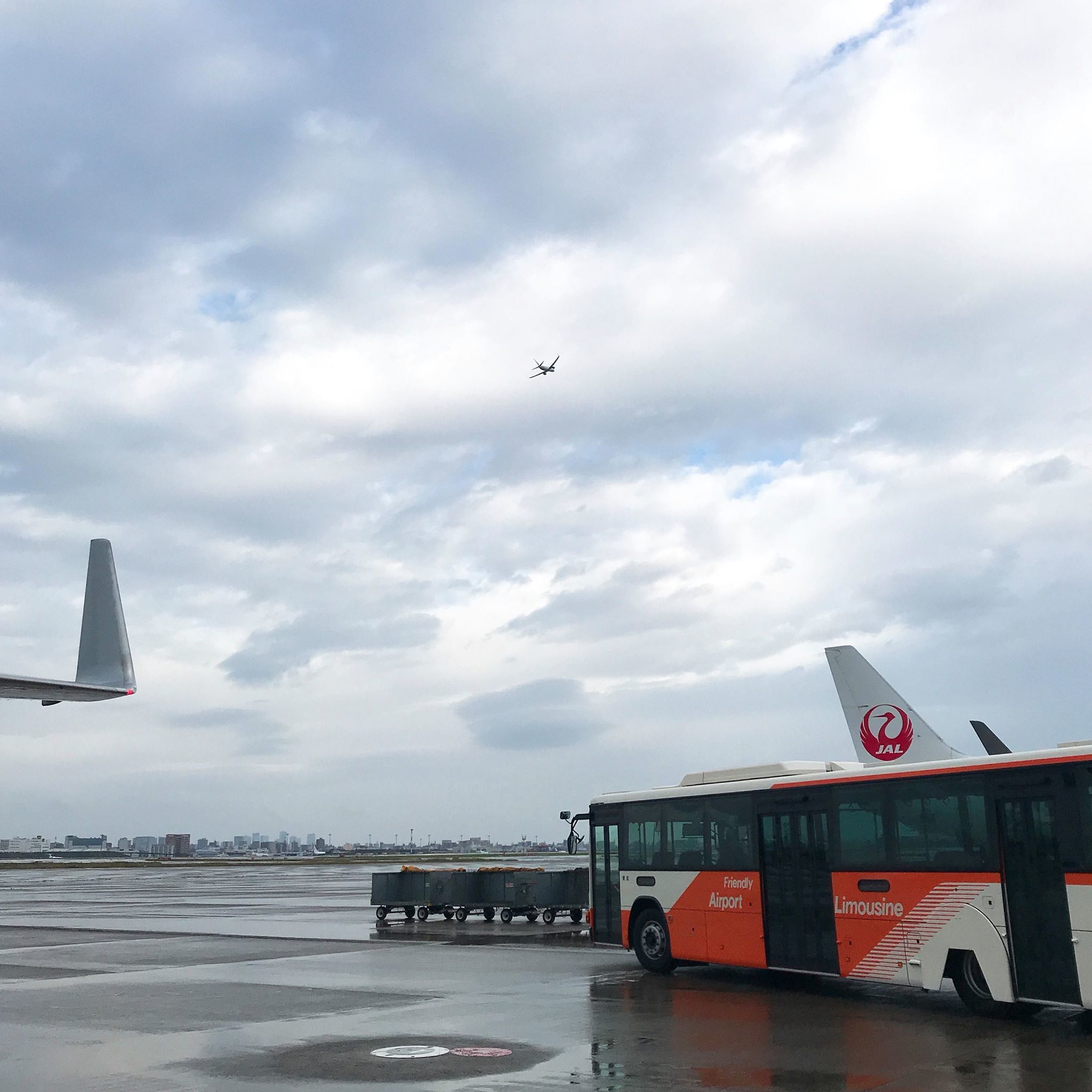 お呼びであればどこまでも　BONSAI Fit Tour in 善通寺編_e0154650_16572807.jpg