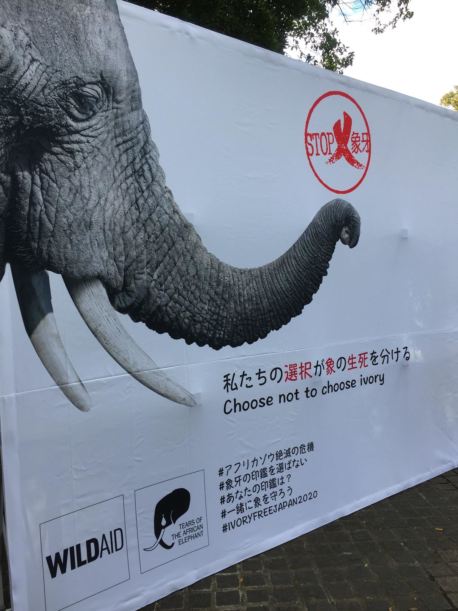 10月4日 ゾウとサイの日 グローバルマーチ 上野公園 18 10 6 親愛なる犀たちへ 10月4日 ゾウとサイの日 グローバルマーチ 上野公園 18 10 6 親愛なる犀たちへ