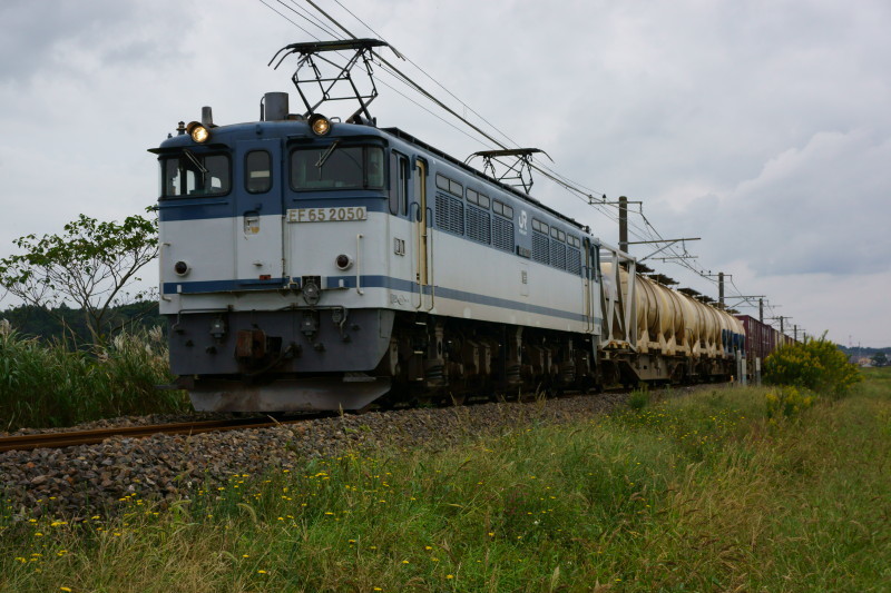 a0331055_16374110.jpg