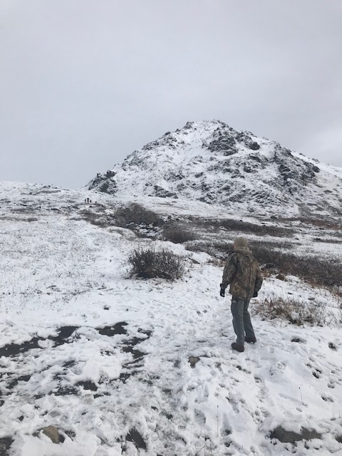 d0143355_16120410.jpeg