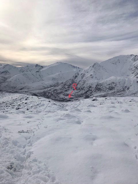d0143355_16150418.jpeg