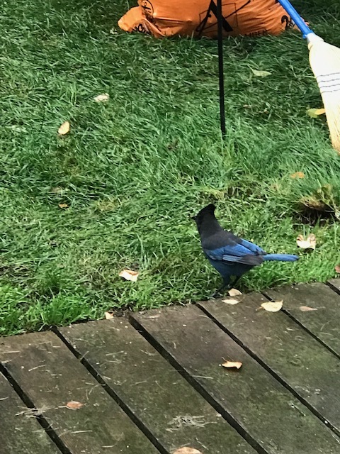 d0143355_16510108.jpeg
