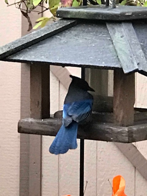 d0143355_16544367.jpeg