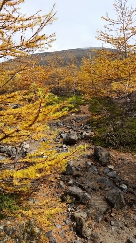 b0335256_22284358.jpg