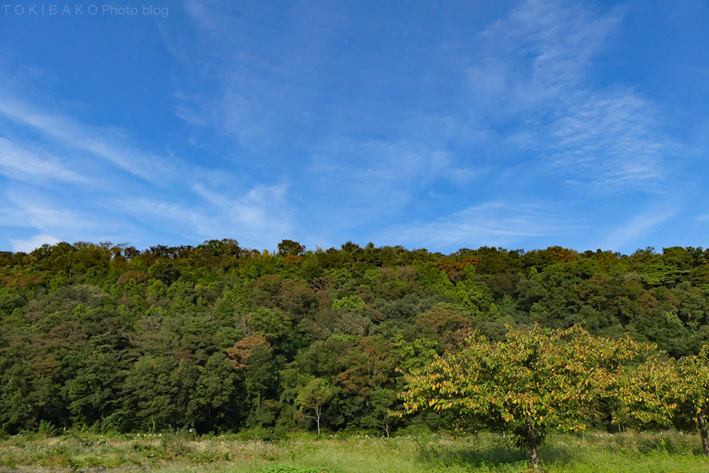 d0100156_11503688.jpg