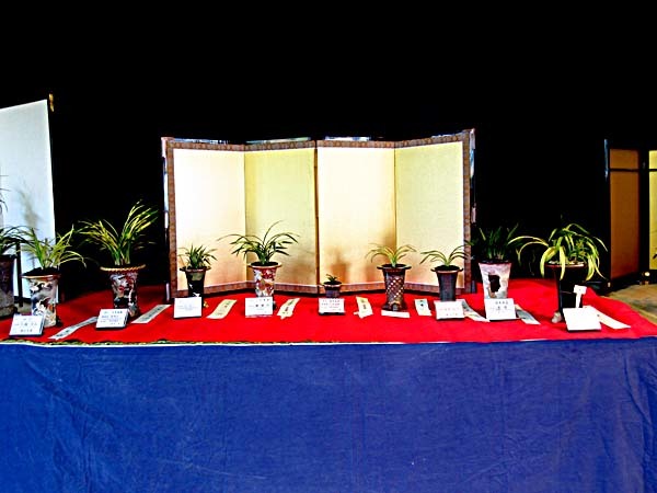 秋季展示会2018                 　　　　　　　　　　　　　　　　　No.1905_d0103457_19195088.jpg