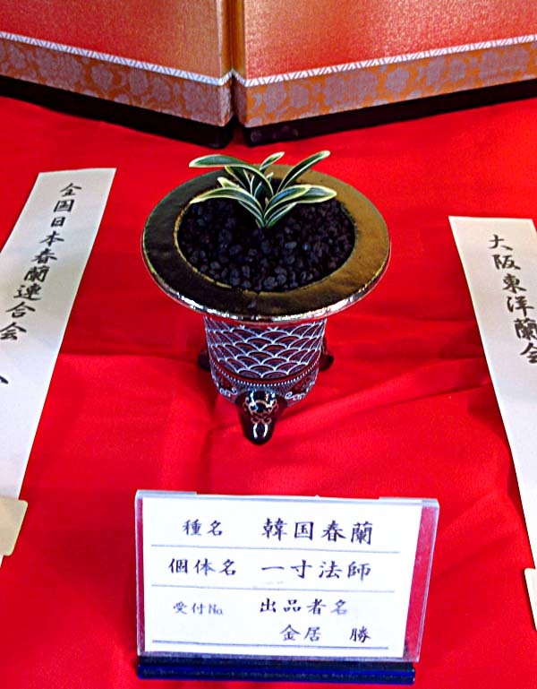 秋季展示会2018                 　　　　　　　　　　　　　　　　　No.1905_d0103457_19200402.jpg