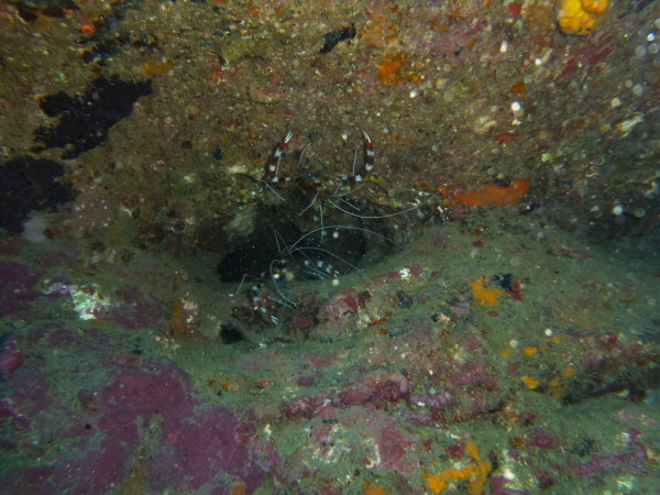 f0164662_09072588.jpg