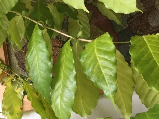 a0053063_06084744.jpeg