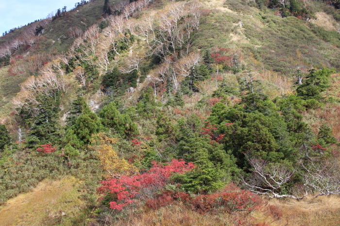 10月14日　　大猫山　猫又山_f0223068_12423531.jpg