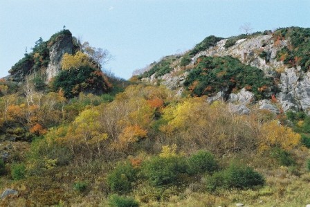 a0344771_19081358.jpg