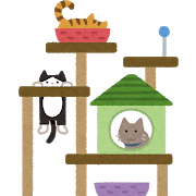 次回の猫塾のお知らせ_e0367571_20490137.png