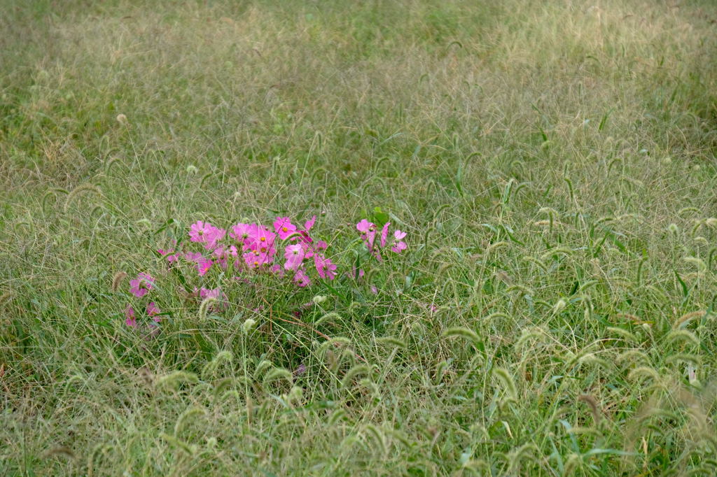 f0323171_17524155.jpg