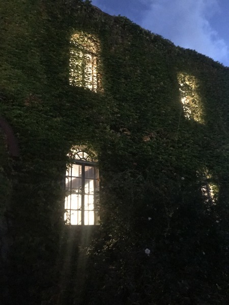 a0141072_20331755.jpeg