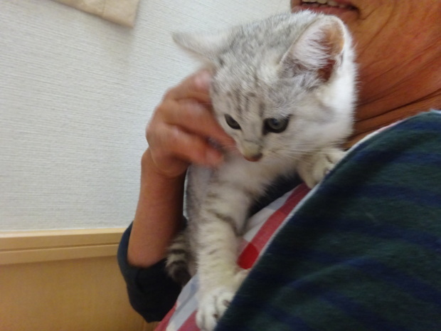 d0380572_09531049.jpg