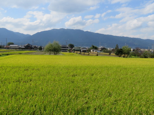 f0259373_11595206.jpg