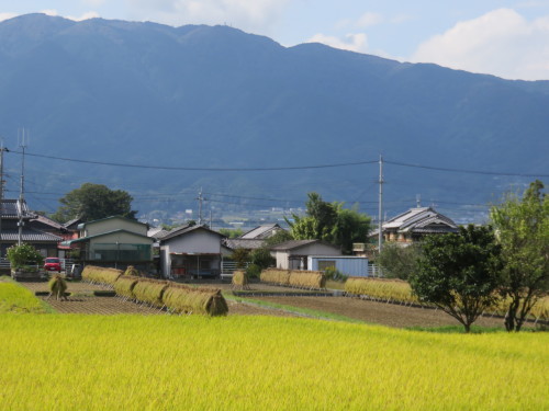 f0259373_12000496.jpg