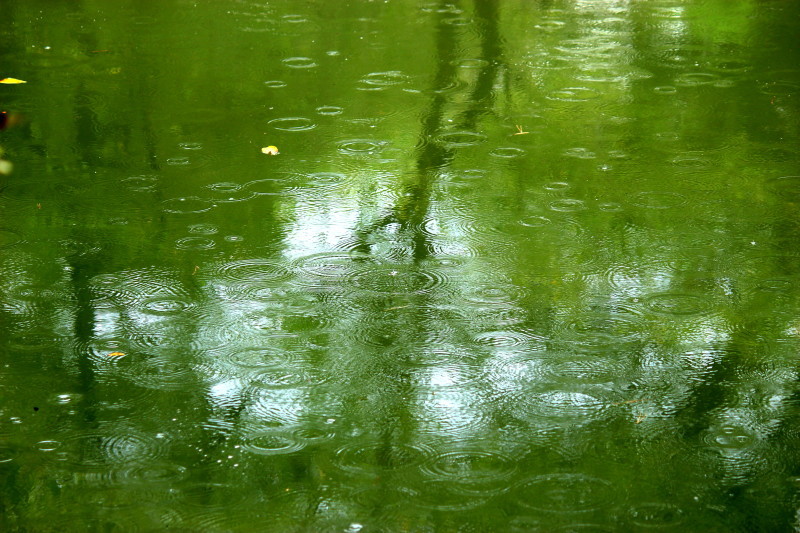 b0093678_17015058.jpg