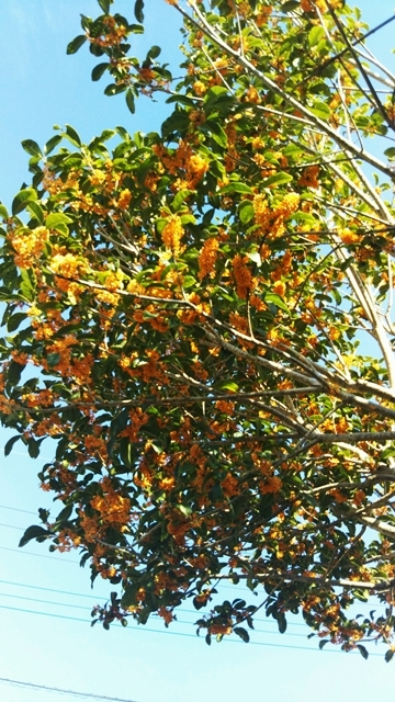 f0366679_23180555.jpg