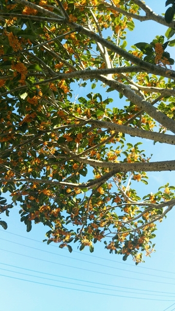 f0366679_23182746.jpg