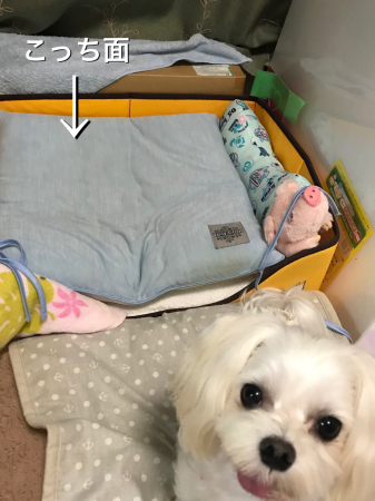 b0193480_13470580.jpeg
