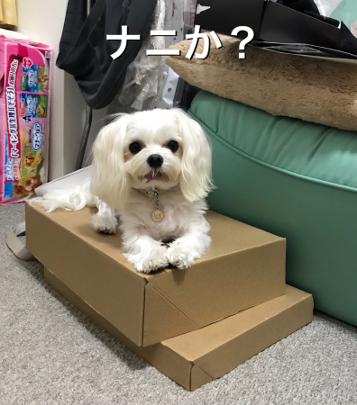 b0193480_13473590.jpeg