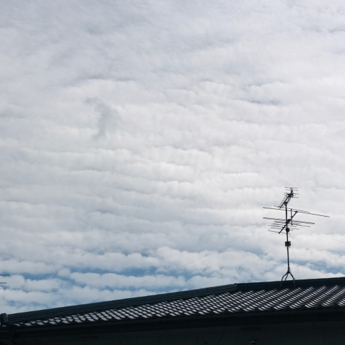 f0299682_17291410.jpg