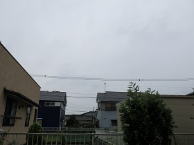e0130185_1094654.jpg